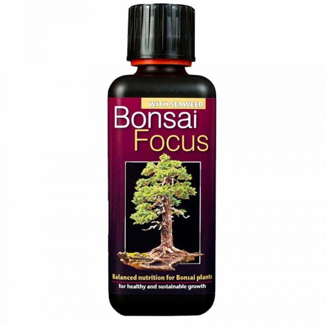 Bonsai Focus