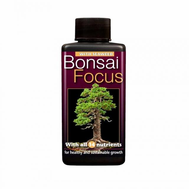 Bonsai Focus